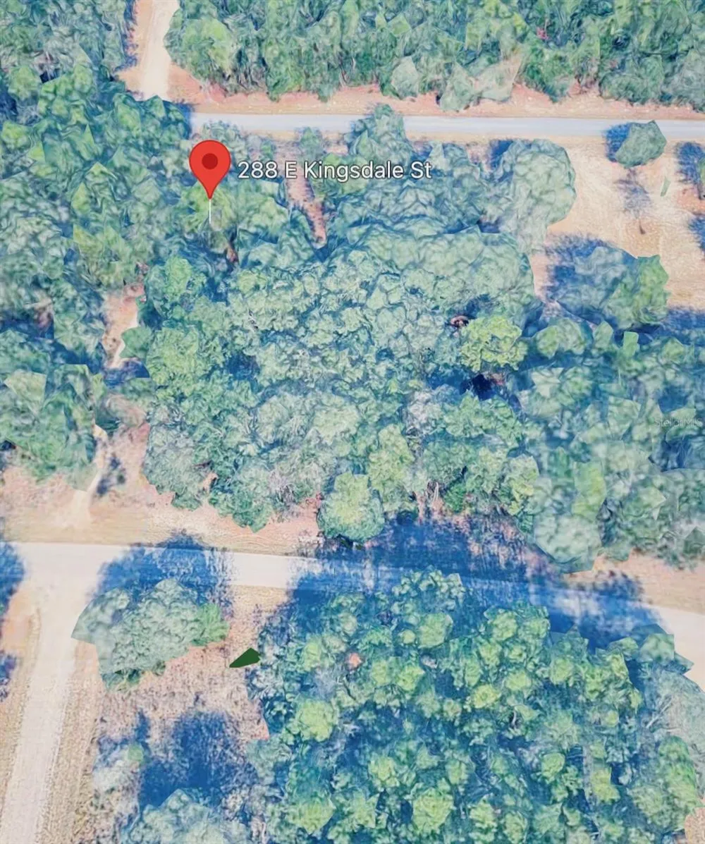 288 E KINGSDALE STREET Citrus Springs, FL 34434