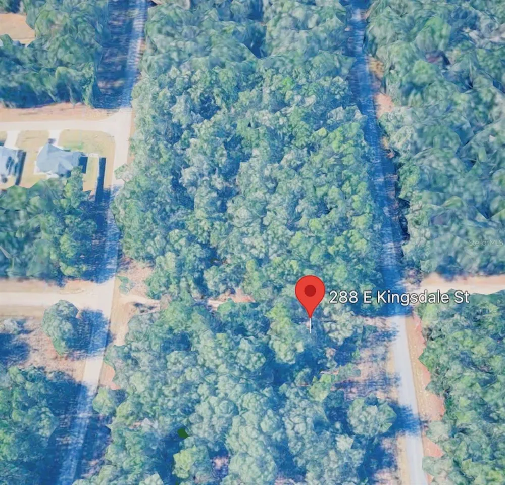 288 E KINGSDALE STREET Citrus Springs, FL 34434