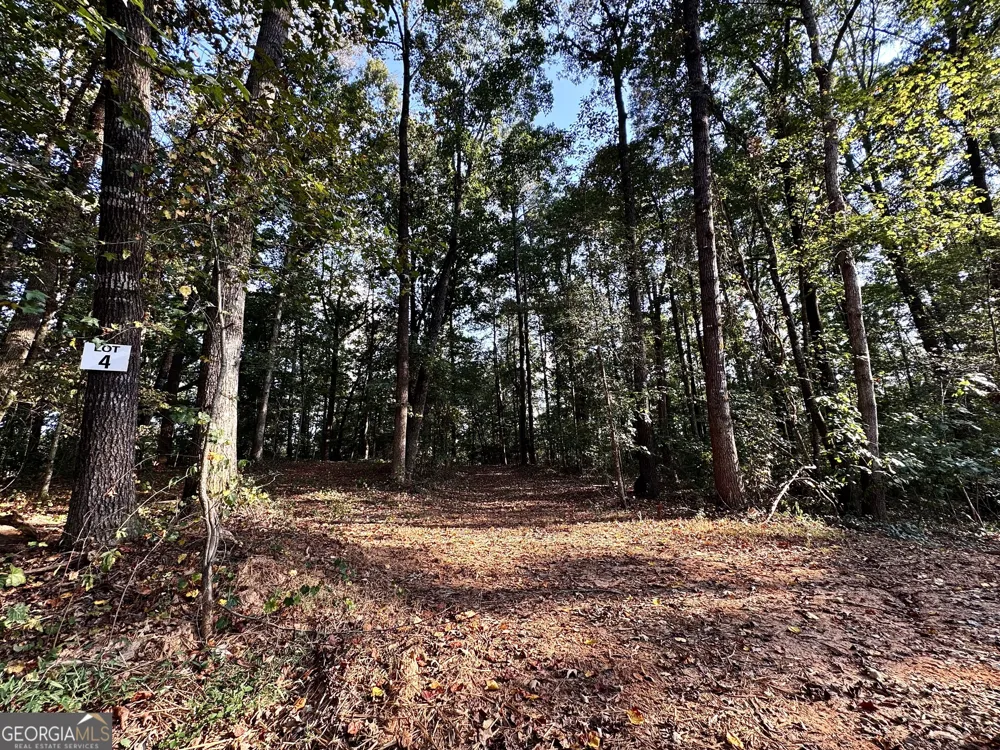 427 Kinney Creek LN Pendergrass, GA 30567