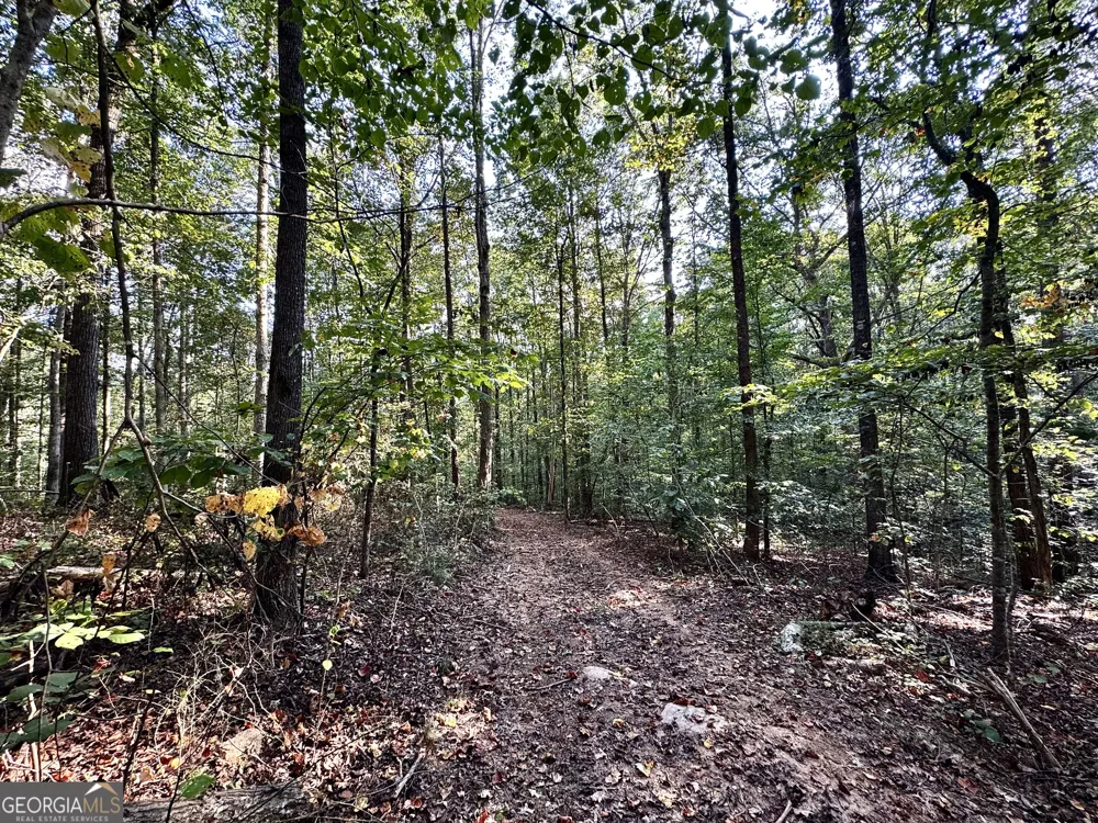 427 Kinney Creek LN Pendergrass, GA 30567