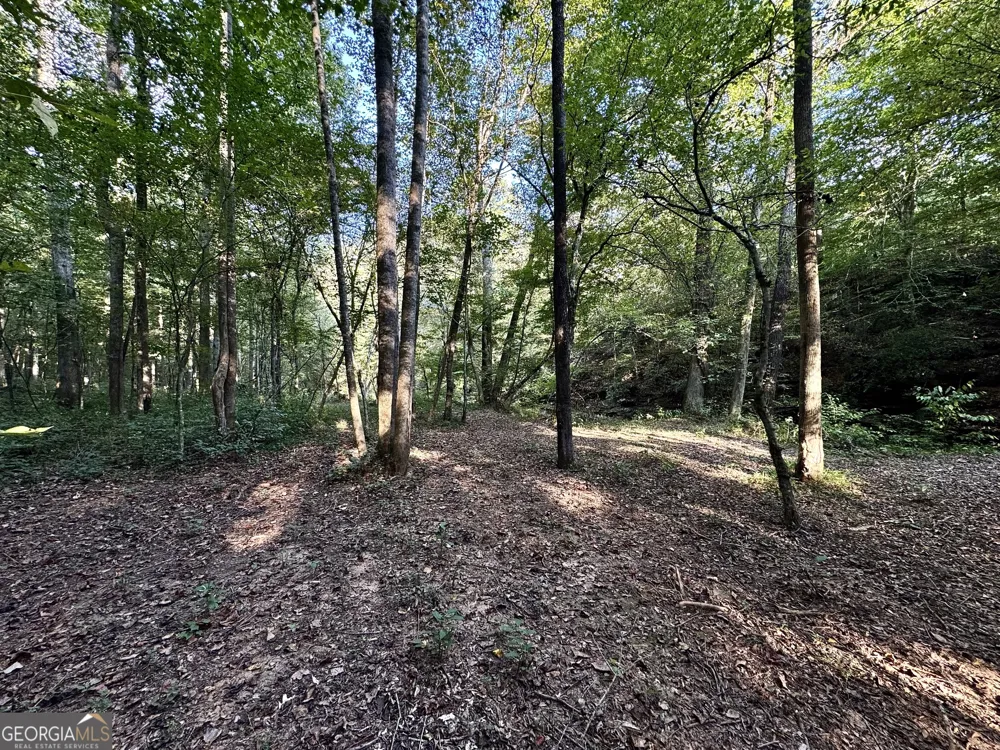 427 Kinney Creek LN Pendergrass, GA 30567