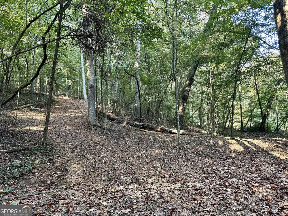 427 Kinney Creek LN Pendergrass, GA 30567