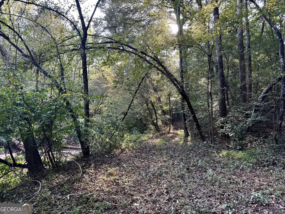 427 Kinney Creek LN Pendergrass, GA 30567