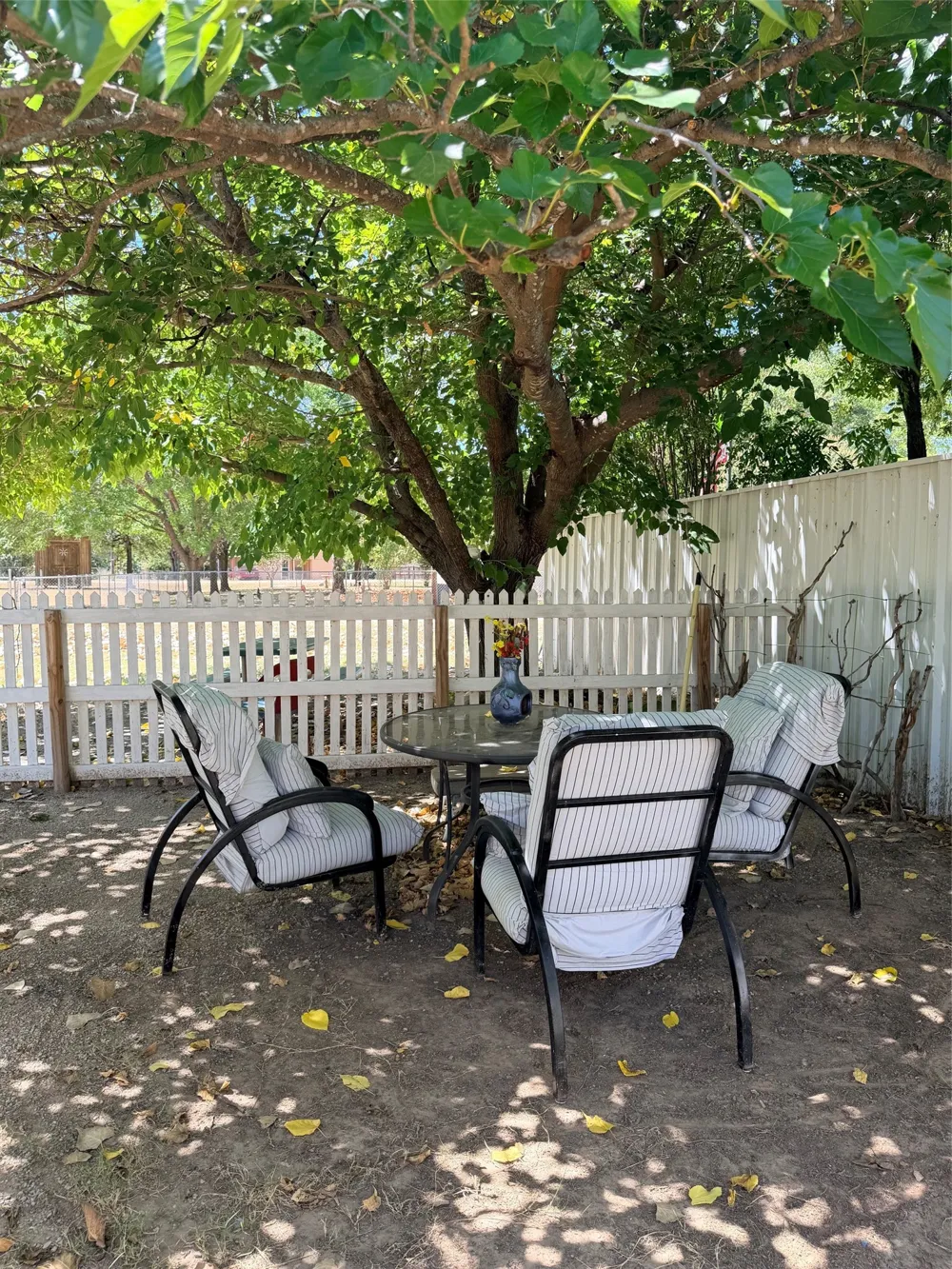 230 Treasure Beach Comanche, TX 76442