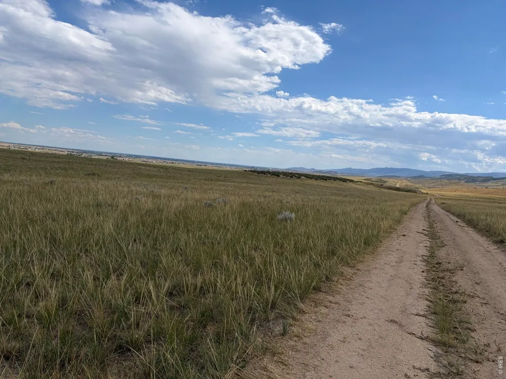 61 Niobrara Ridge Road Laporte, CO 80535