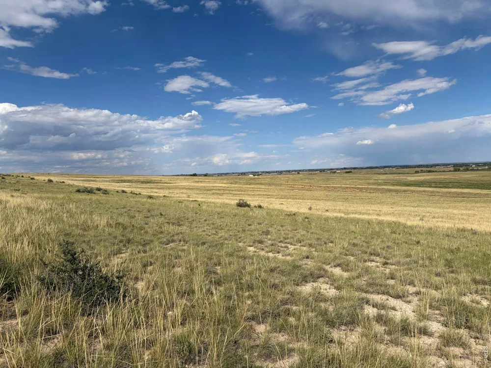 61 Niobrara Ridge Road Laporte, CO 80535