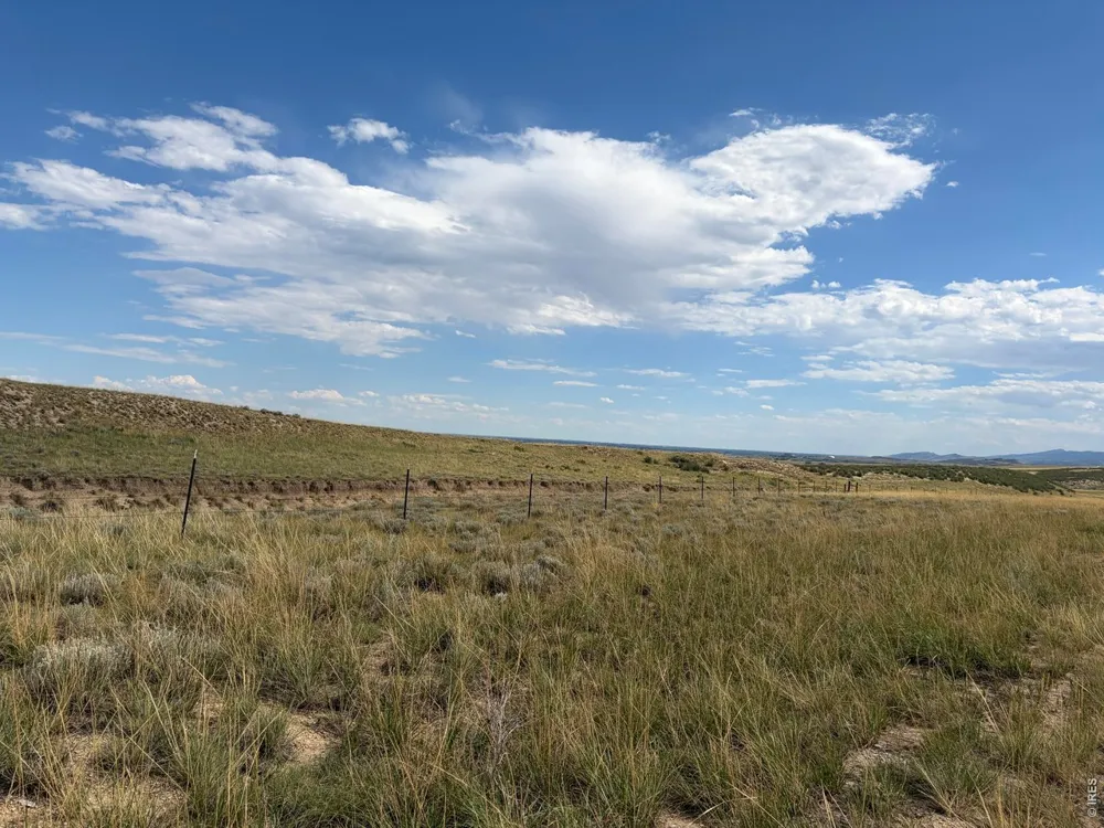 61 Niobrara Ridge Road Laporte, CO 80535