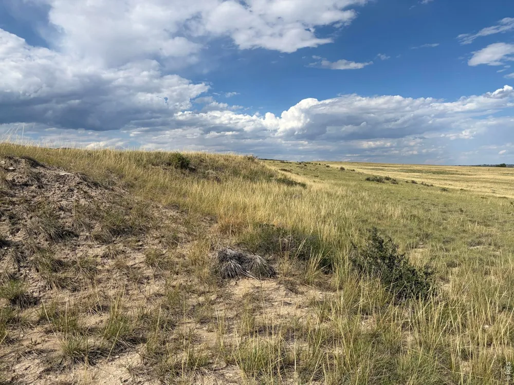 61 Niobrara Ridge Road Laporte, CO 80535