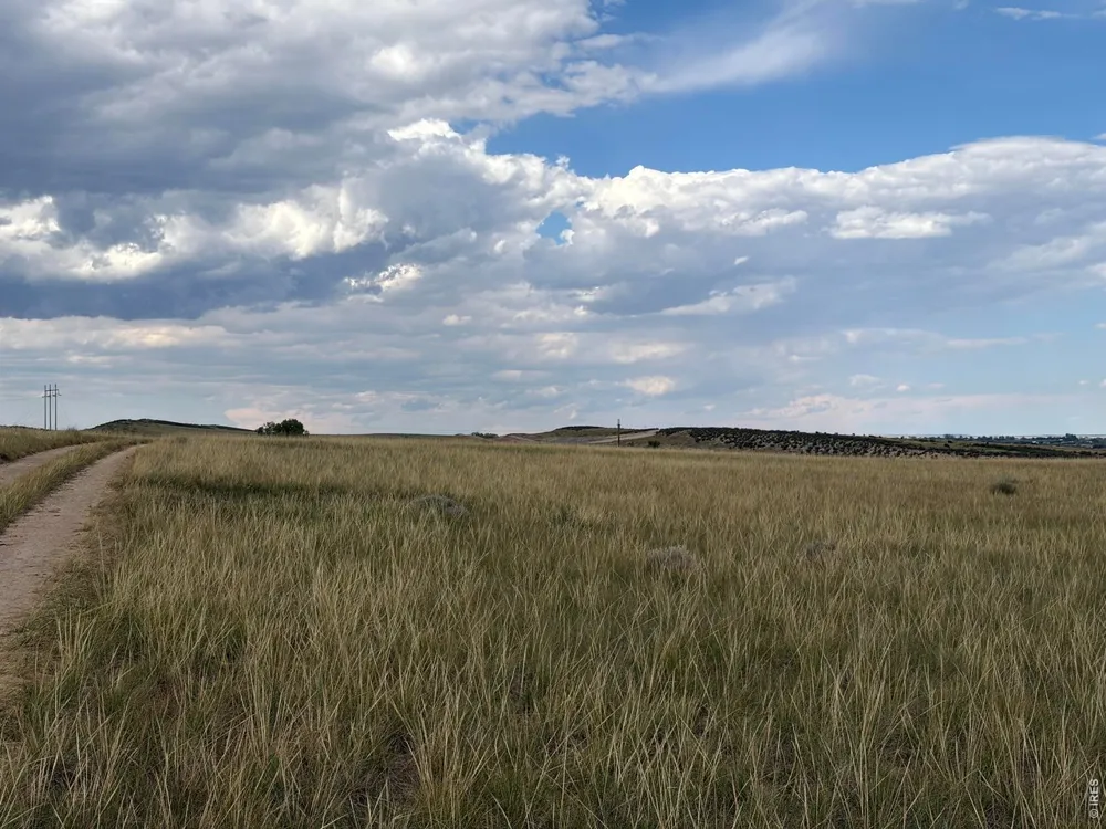 61 Niobrara Ridge Road Laporte, CO 80535
