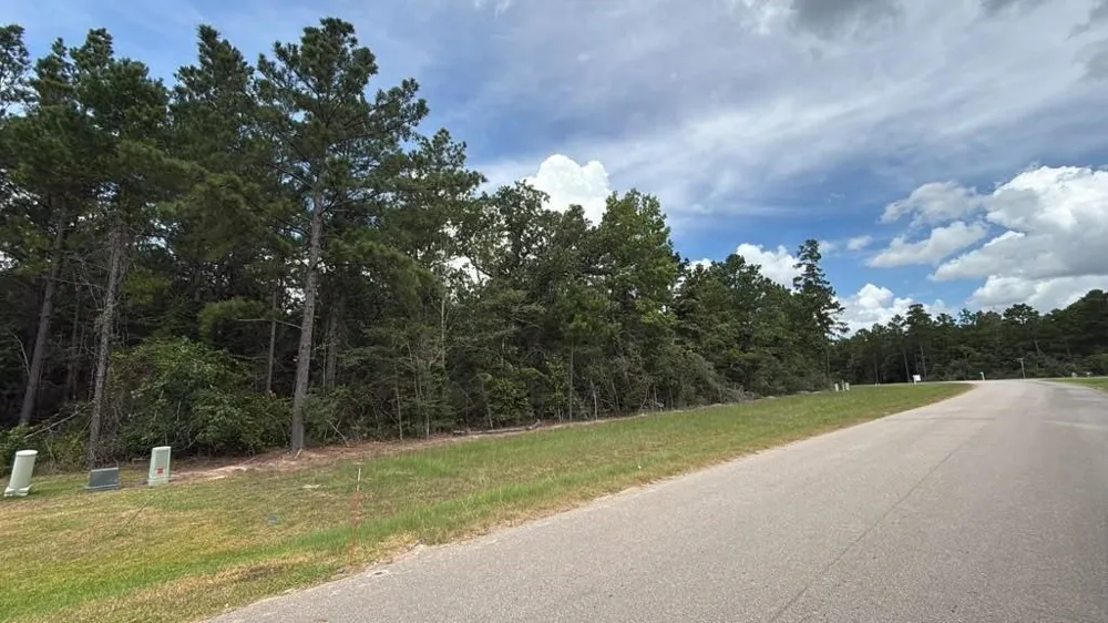 7621 Trinity Pines Dr Montgomery, TX 77316