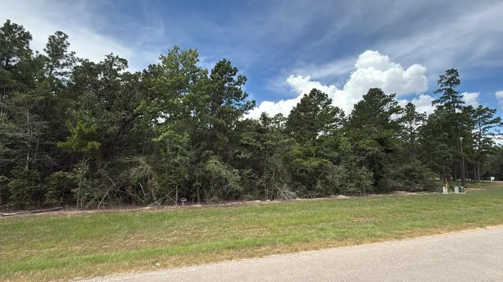 7621 Trinity Pines Dr Montgomery, TX 77316
