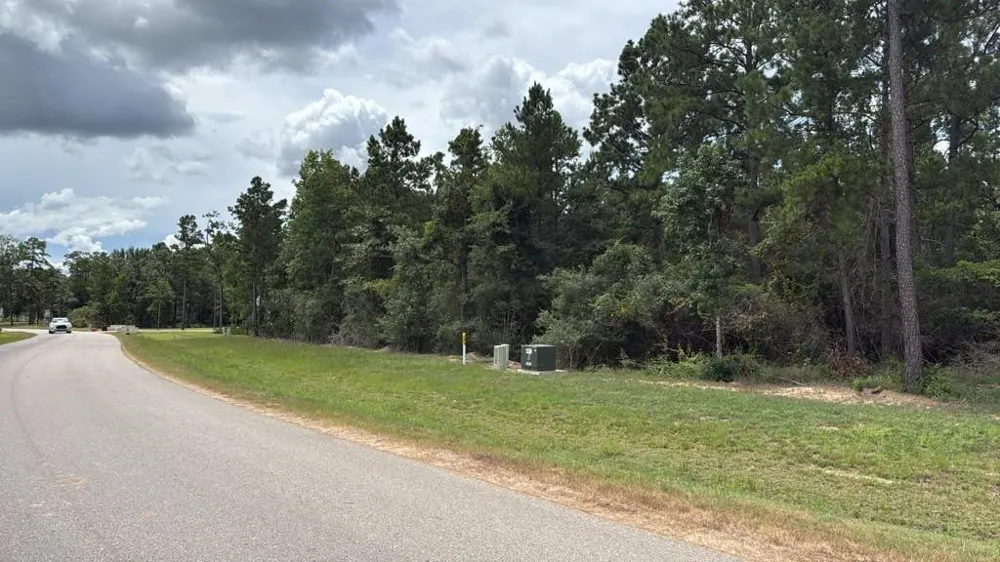 7621 Trinity Pines Dr Montgomery, TX 77316