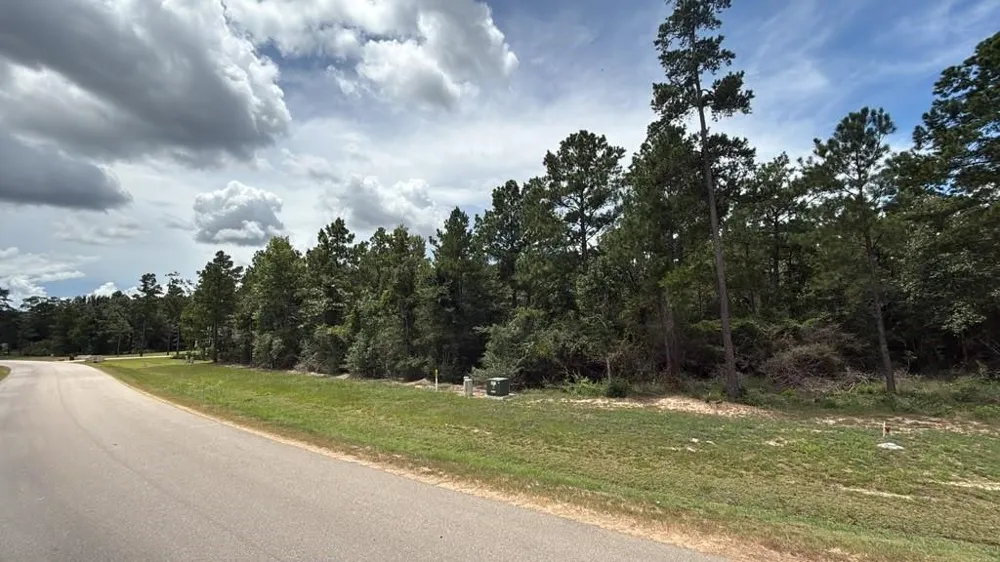 7621 Trinity Pines Dr Montgomery, TX 77316
