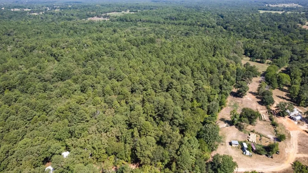 431 County Road 2487 Mineola, TX 75773