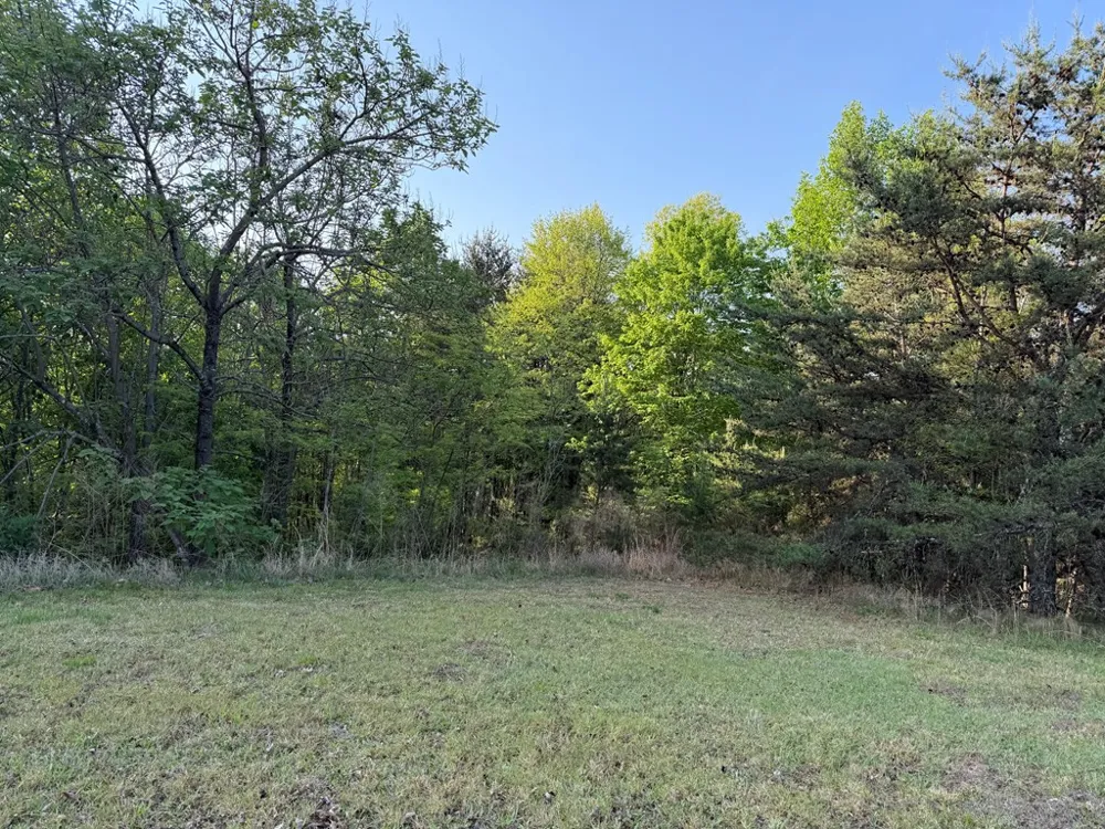 Lot #20 Yellow Maple Drive Murphy, NC 28906