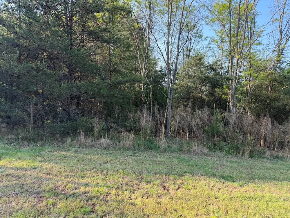 Lot #20 Yellow Maple Drive Murphy, NC 28906