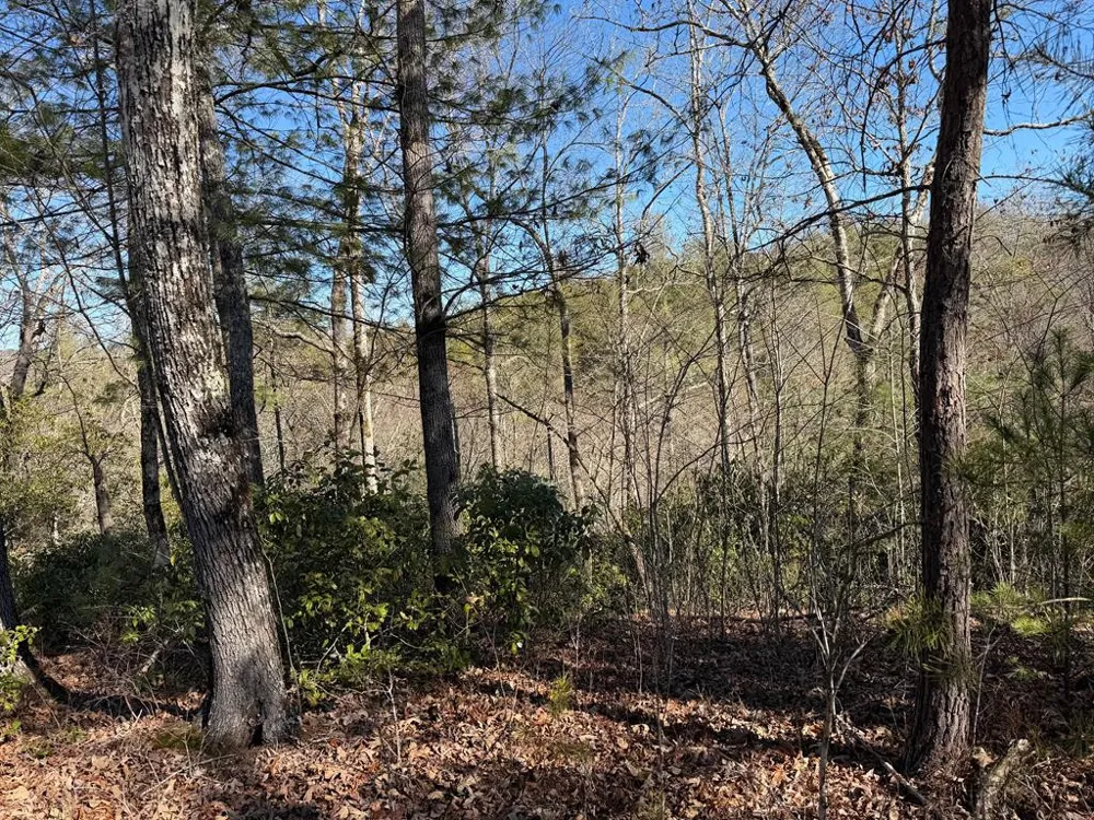 Lot #20 Yellow Maple Drive Murphy, NC 28906