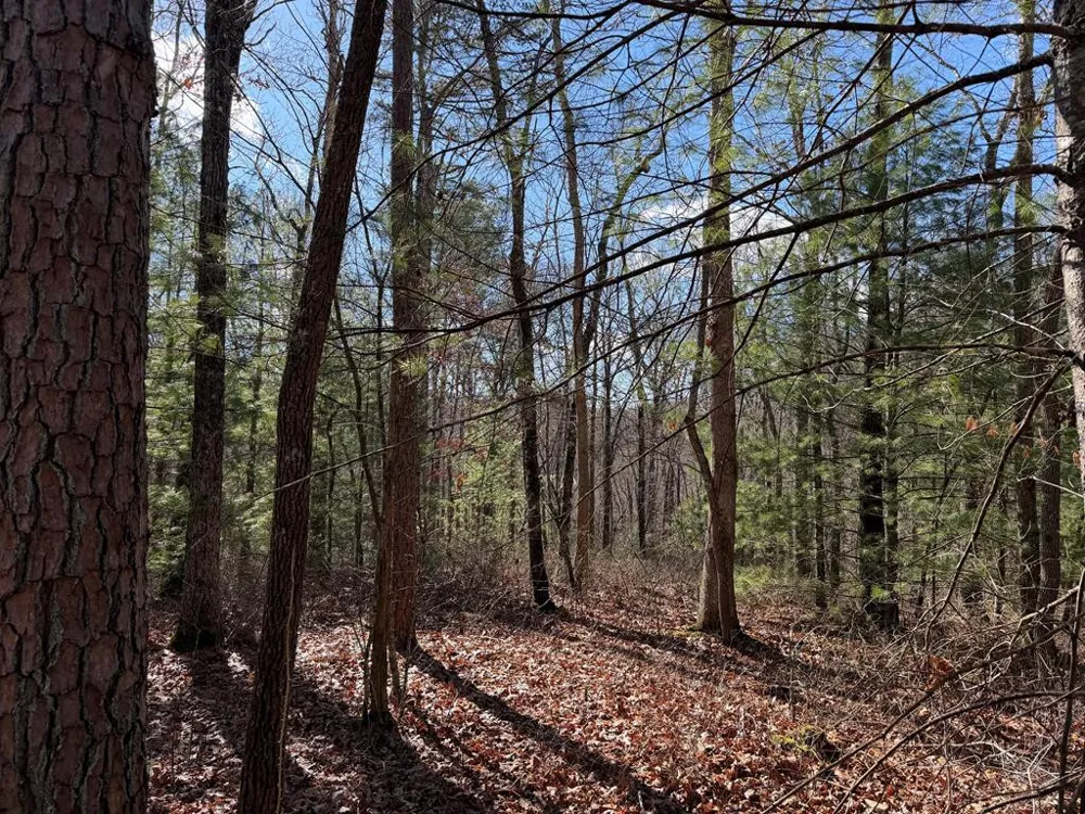Lot #20 Yellow Maple Drive Murphy, NC 28906