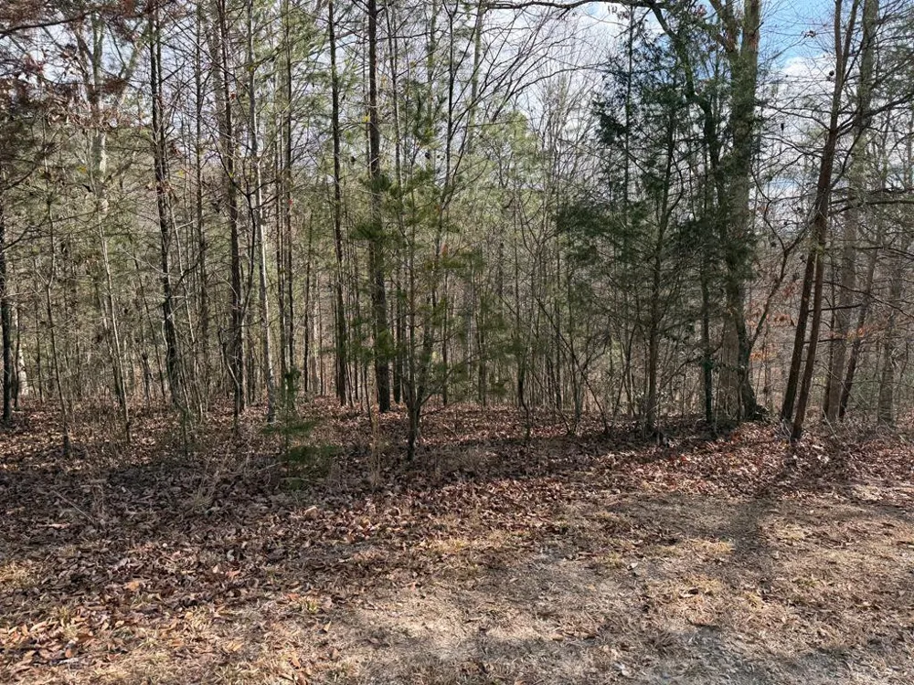 Lot #20 Yellow Maple Drive Murphy, NC 28906