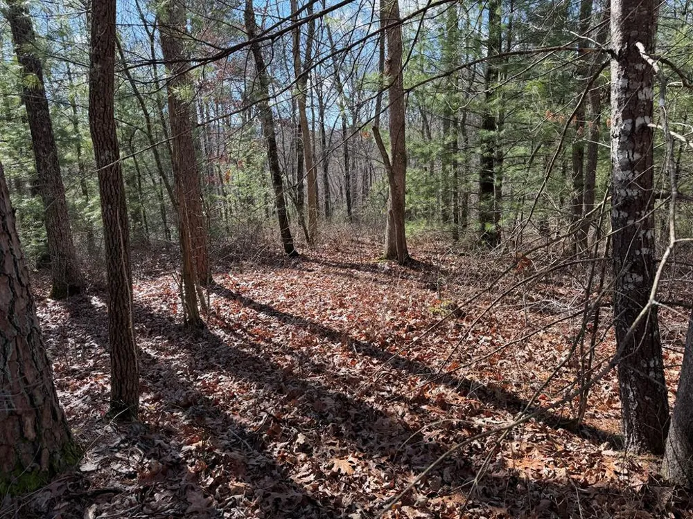 Lot #20 Yellow Maple Drive Murphy, NC 28906