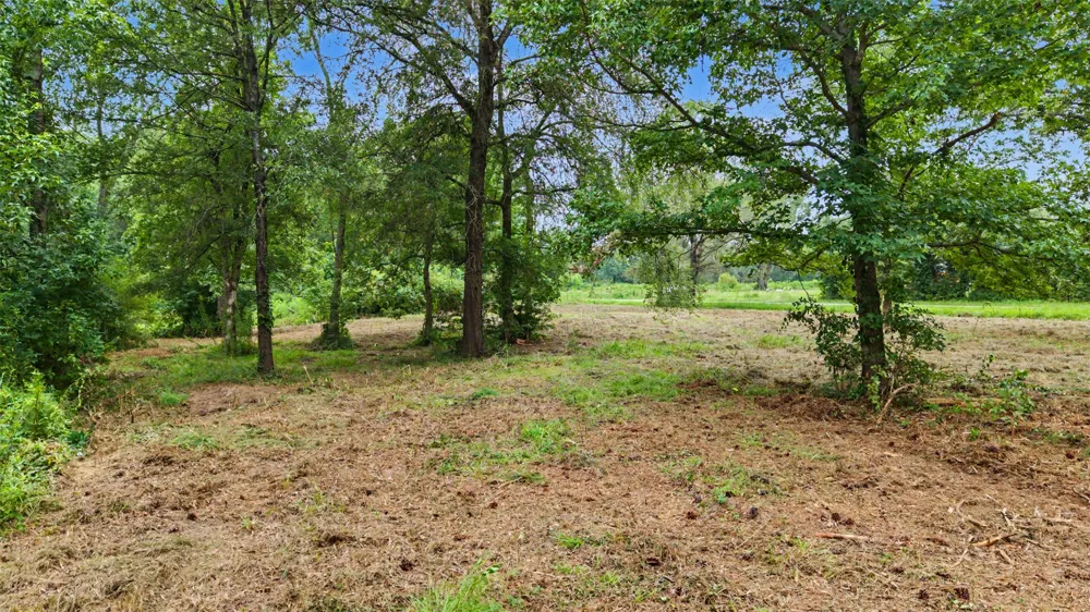 Hazelwood Dr Naples, TX 75568