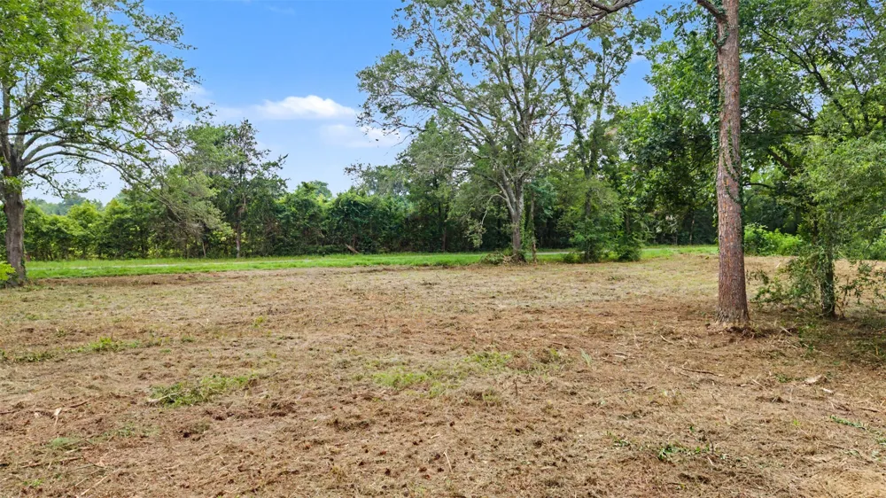 Hazelwood Dr Naples, TX 75568