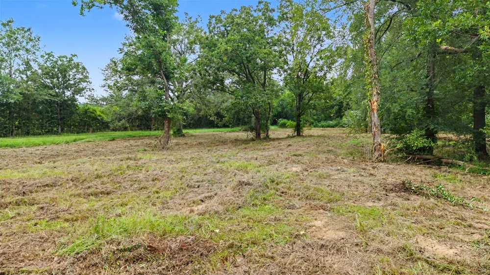 Hazelwood Dr Naples, TX 75568
