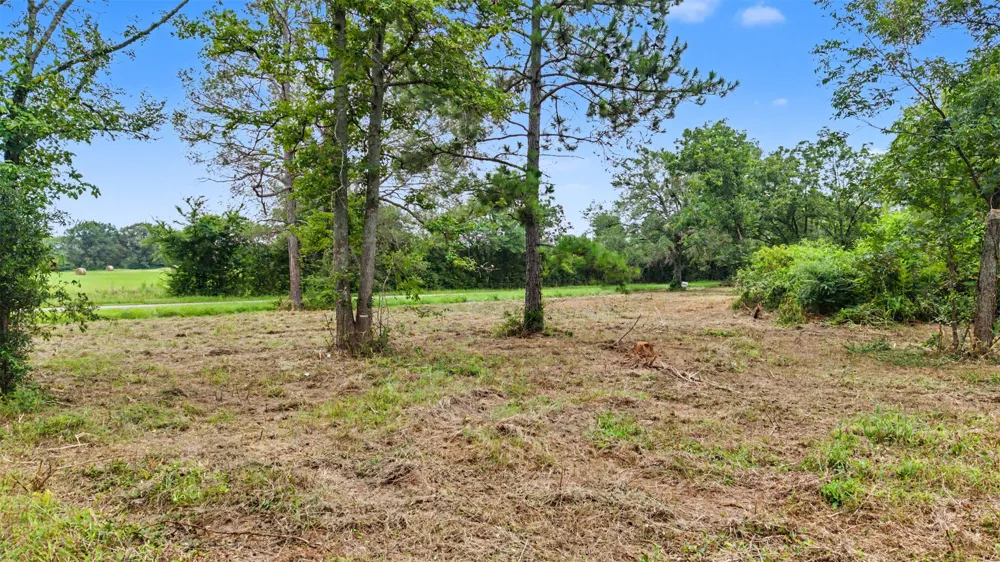 Hazelwood Dr Naples, TX 75568