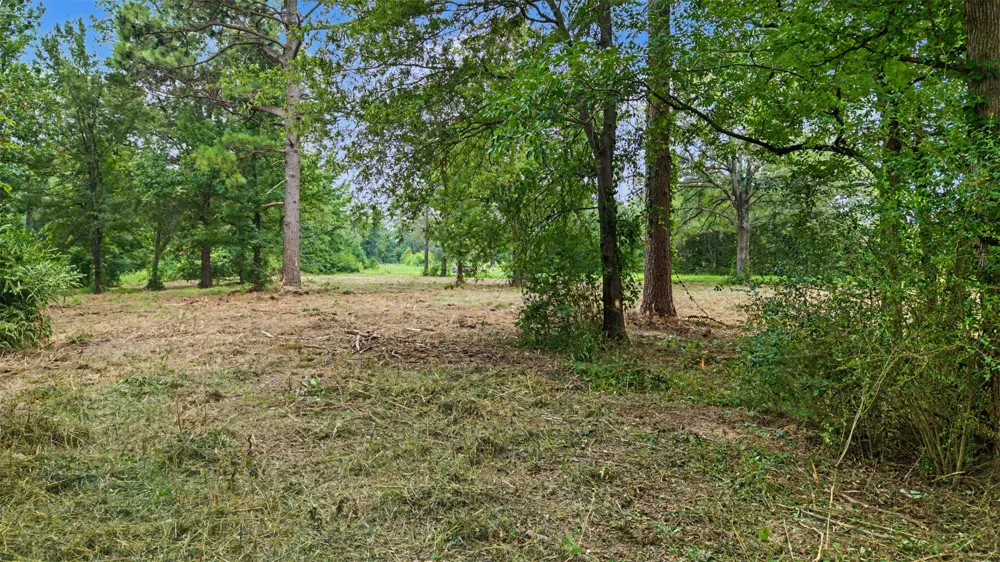 Hazelwood Dr Naples, TX 75568
