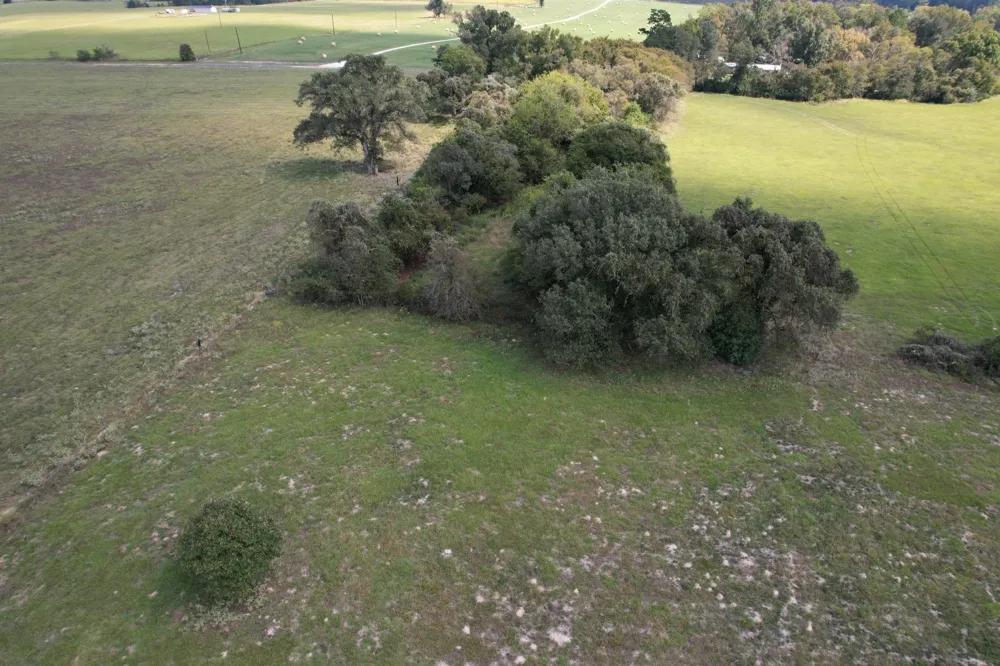CR 435 Frankston, TX 75763