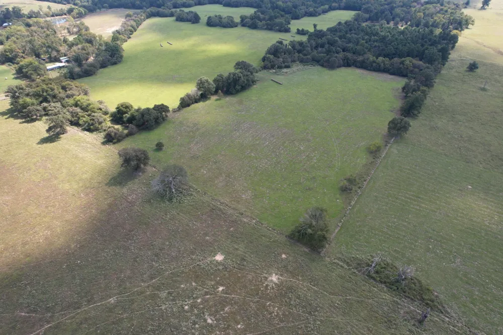 CR 435 Frankston, TX 75763