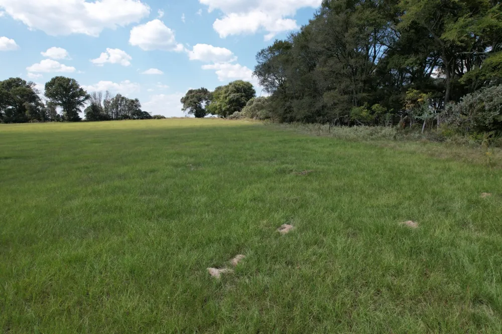CR 435 Frankston, TX 75763
