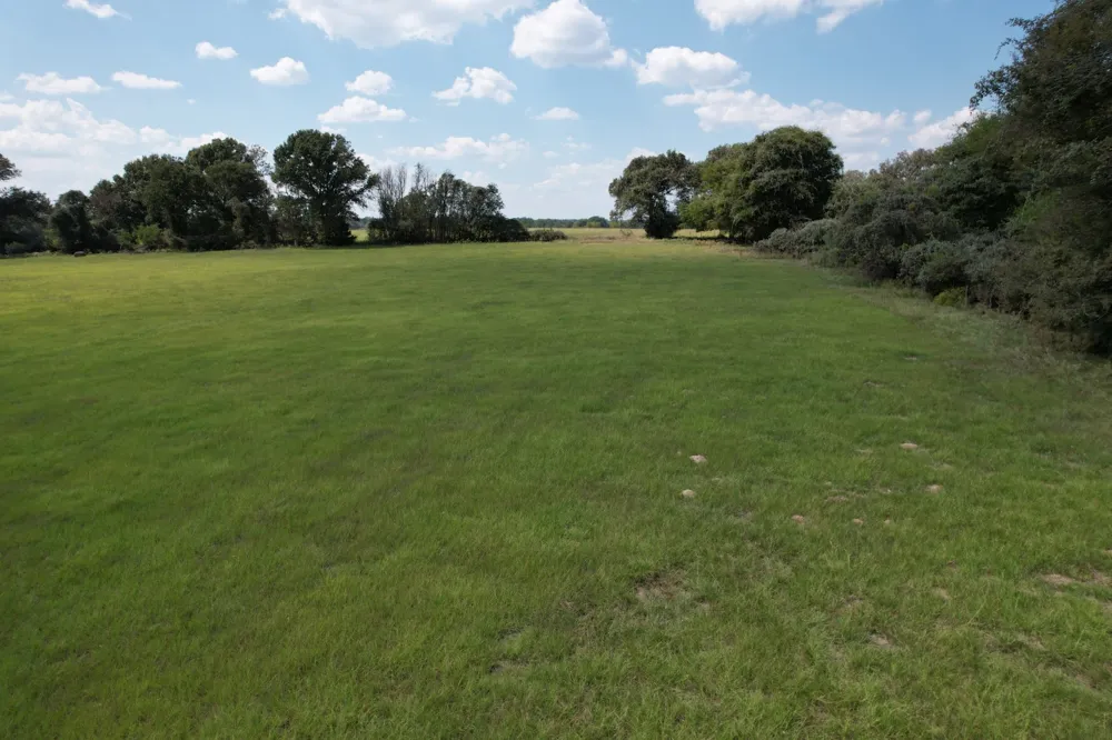 CR 435 Frankston, TX 75763