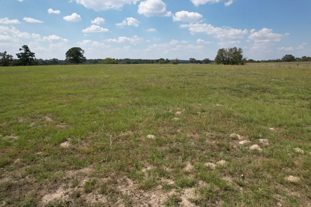 CR 435 Frankston, TX 75763