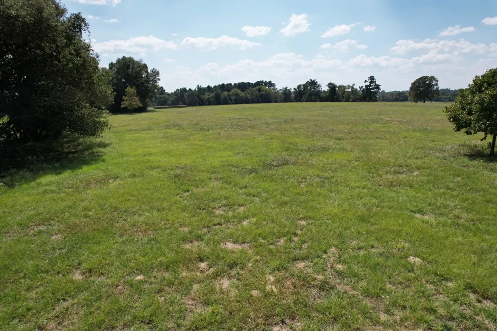 CR 435 Frankston, TX 75763