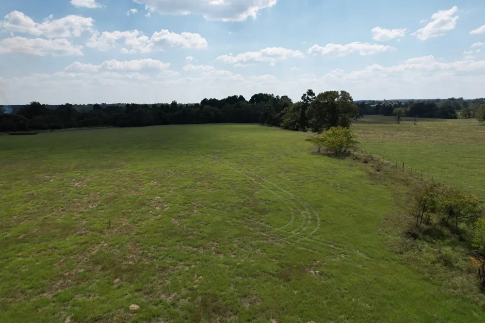 CR 435 Frankston, TX 75763