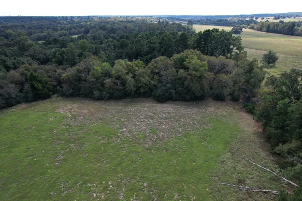 CR 435 Frankston, TX 75763