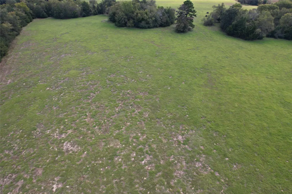 CR 435 Frankston, TX 75763