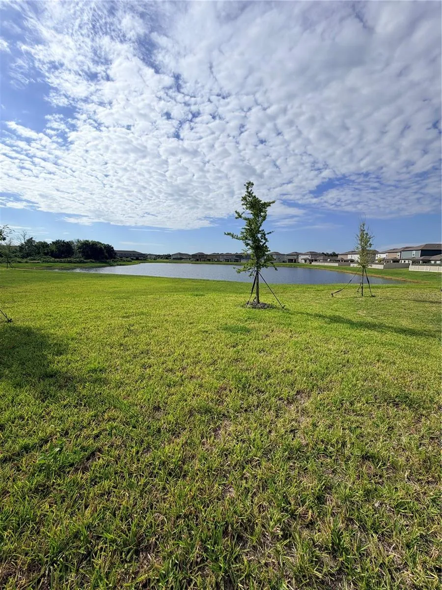 12490 SWEET ANGEL AURA WAY Parrish, FL 34219