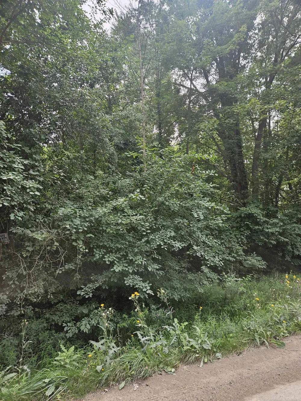 14080 31 Mile Road Washington Township, MI 48095