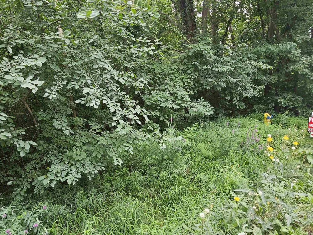 14080 31 Mile Road Washington Township, MI 48095