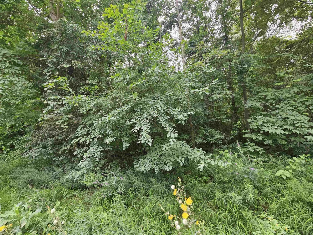 14080 31 Mile Road Washington Township, MI 48095