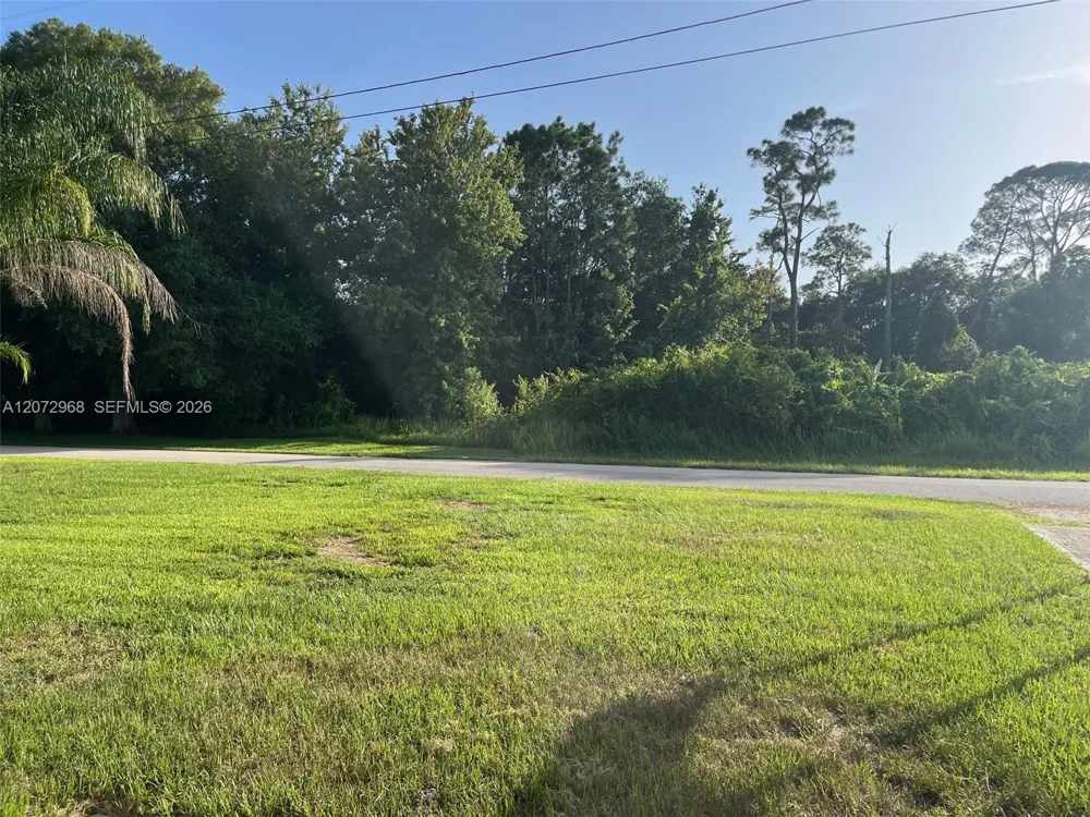 1052 Lake Carrie Dr Lake Placid, FL 33852