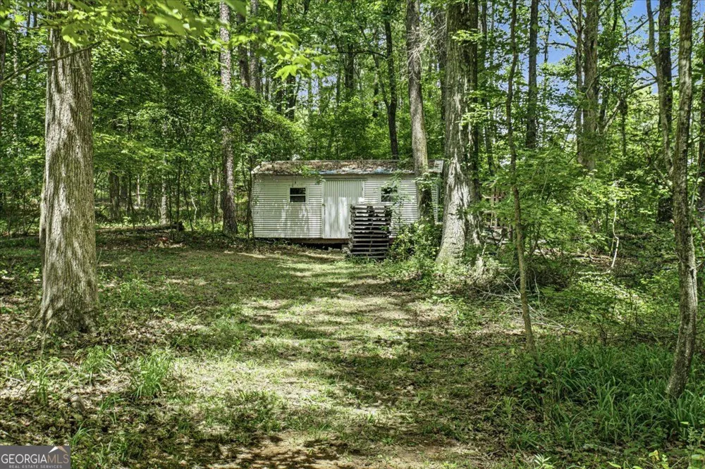1351 Minix RD Sharpsburg, GA 30277