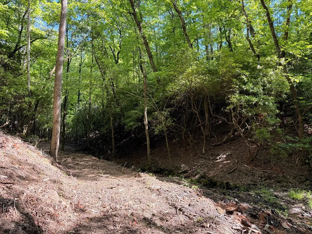 295 Mountain Laurel Ridge Mineral Bluff, GA 30559