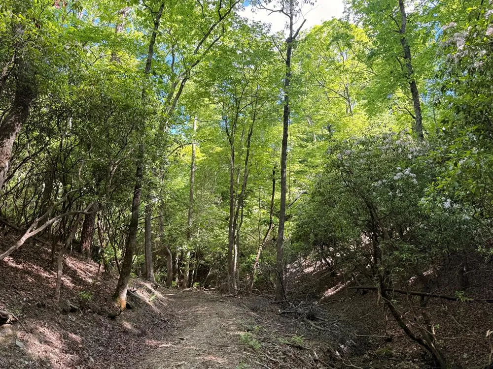 295 Mountain Laurel Ridge Mineral Bluff, GA 30559