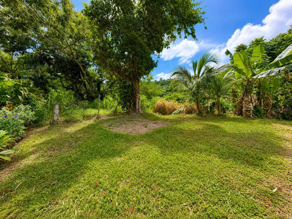 KM 4.3 Int. PR-900 Yabucoa, PR 00767