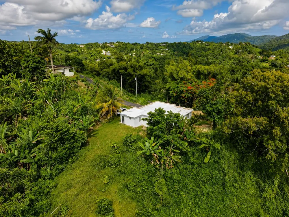 KM 4.3 Int. PR-900 Yabucoa, PR 00767