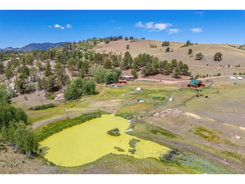 242 Poplar Lane Guffey, CO 80820