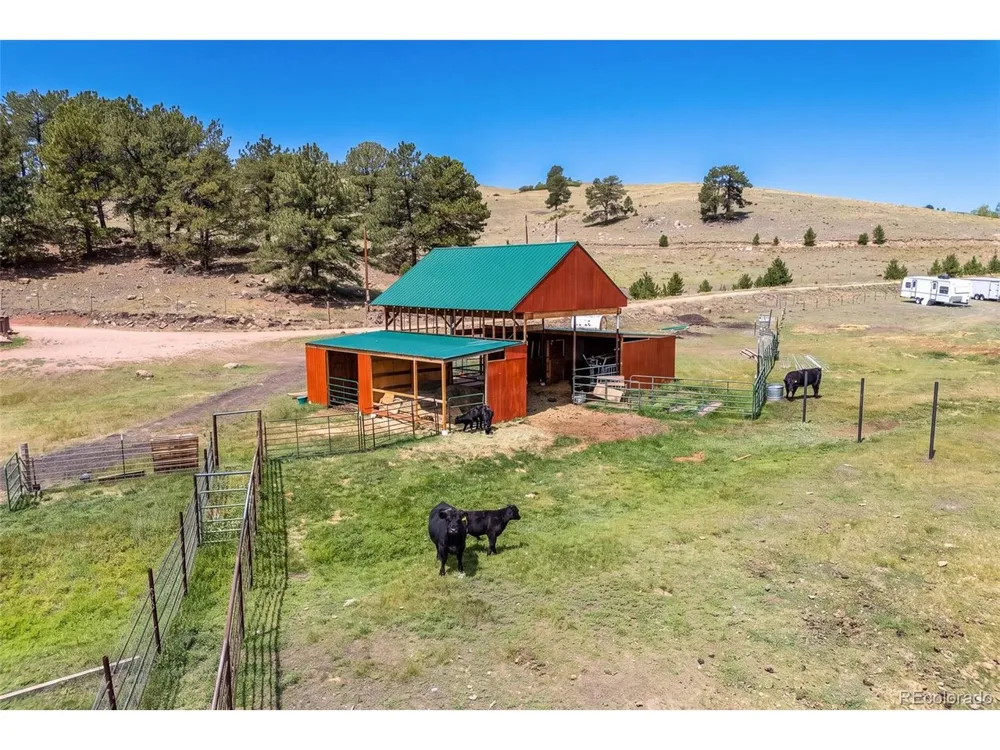 242 Poplar Lane Guffey, CO 80820